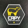 CAPY Warfare Group Patch - Image 2