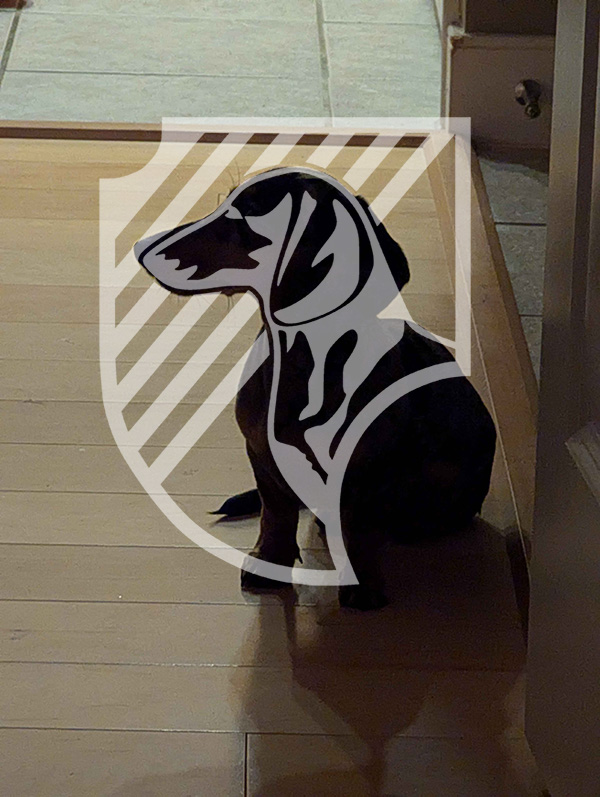 the badgerhound logo superimposed over a badgerhound 